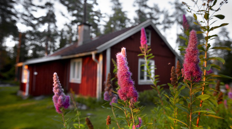 Rött hus med blommor i förgrunden