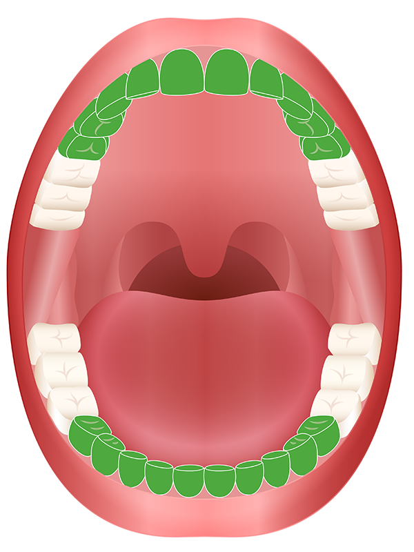 tänder långt fram i munnen_400.png