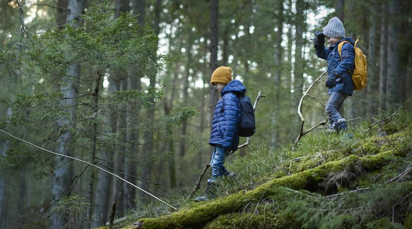 Pojkar på skogsäventyr