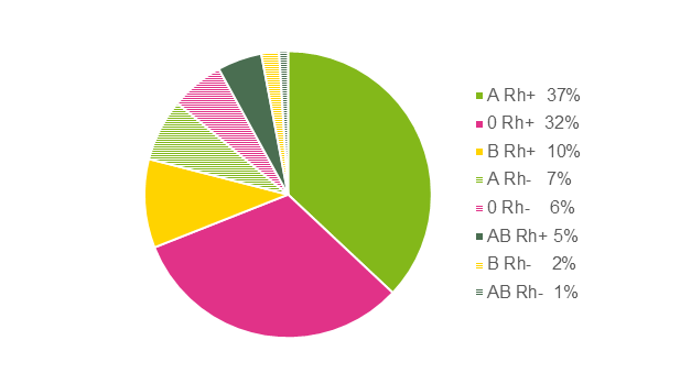 Diagram på blodgruppsfördelningen hos Sveriges befolkning. A Rh+ 37%, 0 Rh+ 32%, B Rh+10%, A Rh- 7%, 0 Rh- 6%, AB Rh+ 5%, B Rh- 2%, AB Rh- 1%.