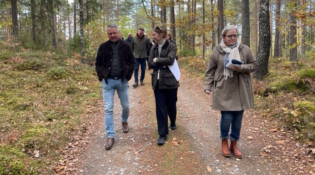 Två män och två kvinnor går i en skog och pratar med varandra.