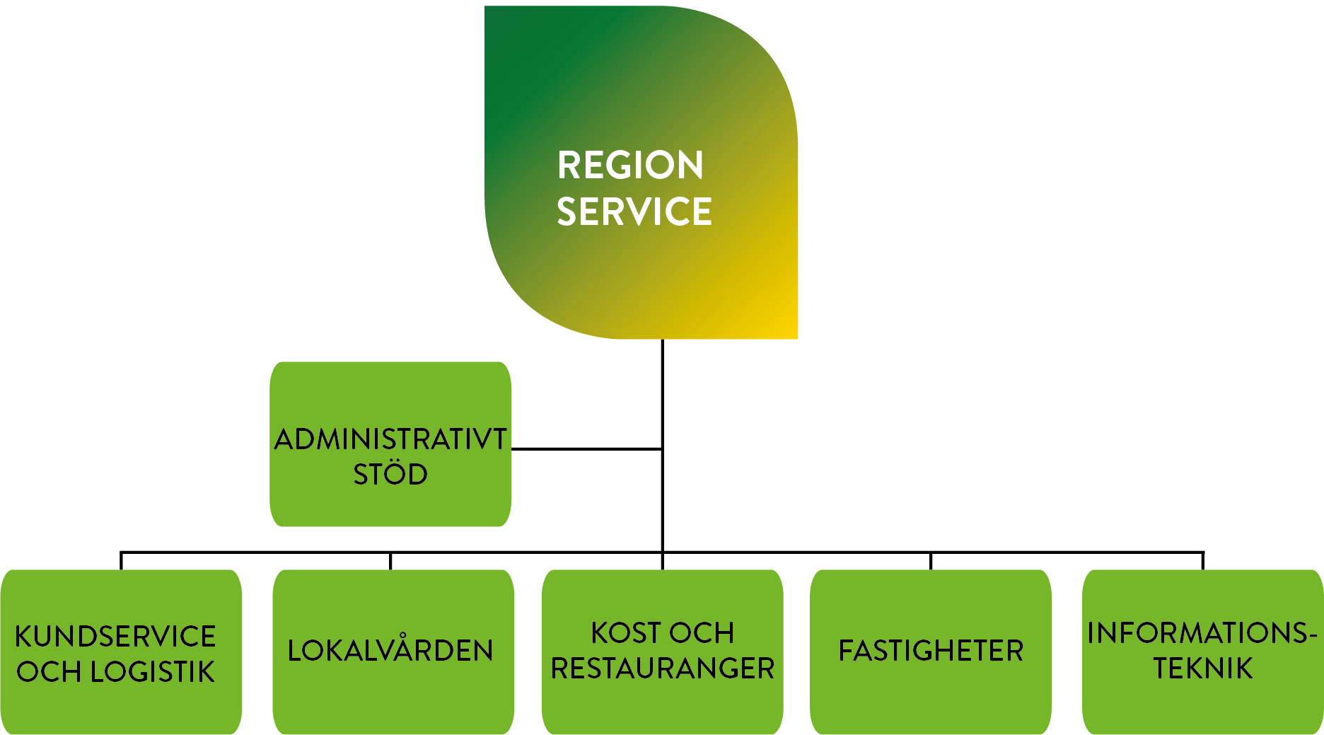 Regionservice består av följande verksamhetsområden: kundservice och logistik, lokalvården, kost och restauranger, fastigheter och informationsteknik. Det finns också en avdelning för administrativt stöd som stöttar samtliga verksamhetsområden.