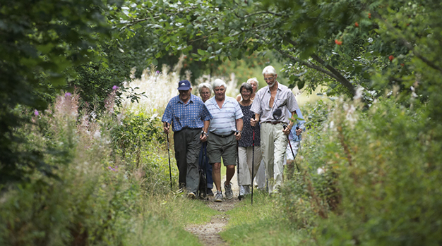 En grupp äldre personer promenerar i naturen.